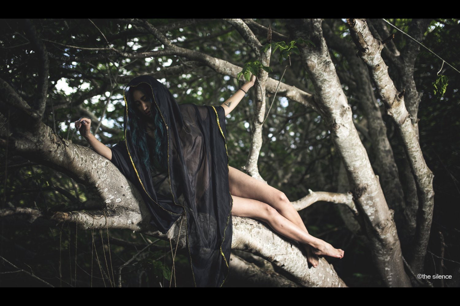 IND ๐ฎ๐ณ VIP ๐ Part-47 #PatFofvY